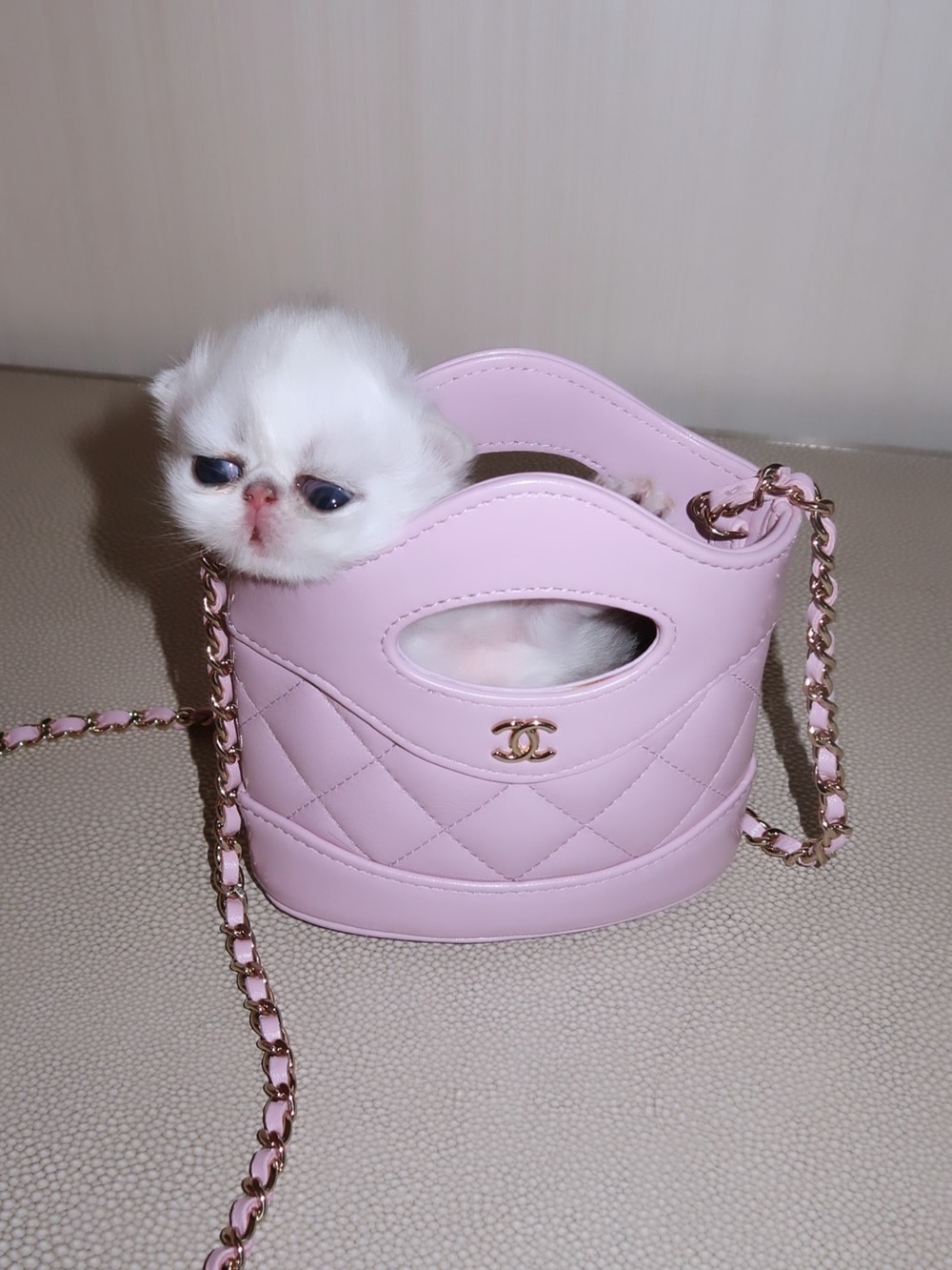 CHANEL Black Mini Bag with Structured Design - Picture 3 of 6